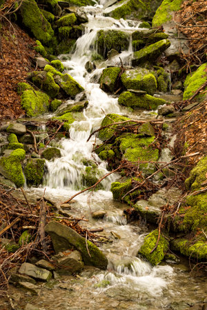 Mossy rocks in a small stream in the forest in springの写真素材