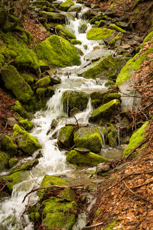 Mossy rocks on the river in mountainsの写真素材