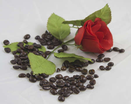 coffee and loveの写真素材