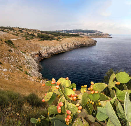 apulia coastの写真素材