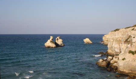 apulia bay bears towerの写真素材