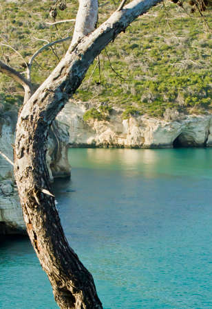 Gargano, sea cliff, Puglia, arc of san feliceの写真素材