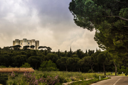 medievale castel del monte,italy,apulia,panoramaのeditorial素材