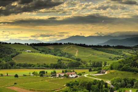 Oriental necks of the Friuli Italyの写真素材