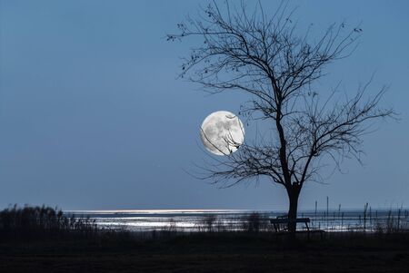 Island of Grado Italy the moonの写真素材