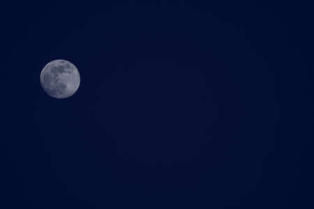 Blue Moonの写真素材