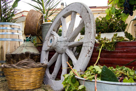 QUARTU SE, ITALY - SEPTEMBER 15, 2013: Grape Festival, in honor of Sant'Elena celebrations - ? Sardiniaのeditorial素材