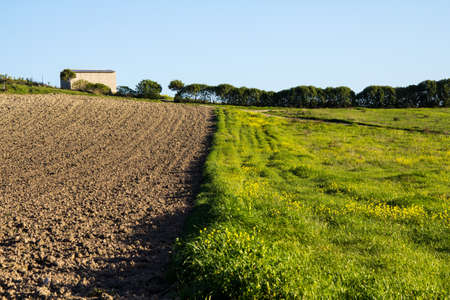 QUARTU SE: Campaign in front of the pond of Simbiritzi - Sardiniaの写真素材