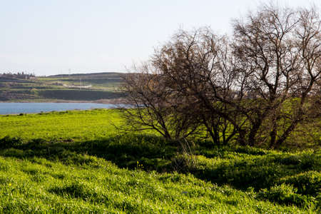 QUARTU SE.: Countryside on the Simbiritzi lake - Sardiniaの写真素材