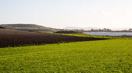 QUARTU SE.: Countryside on the Simbiritzi lake - Sardiniaの写真素材
