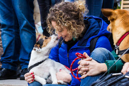 CAGLIARI, ITALY - MARCH 6, 2016: "All-leg" dog show at the Exma - Sardiniaのeditorial素材