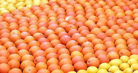 Oranges and lemons