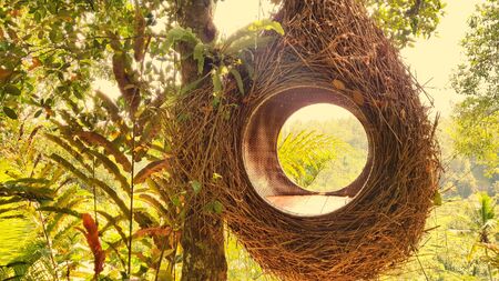 Big next in a forest in Bali, Indonesia
