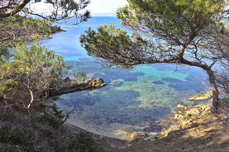 Beach in Porquerolles, French Rivieraの写真素材