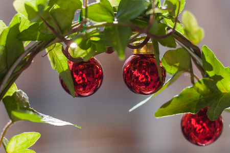 Photographer mirroring effect in red christmas ballsの写真素材