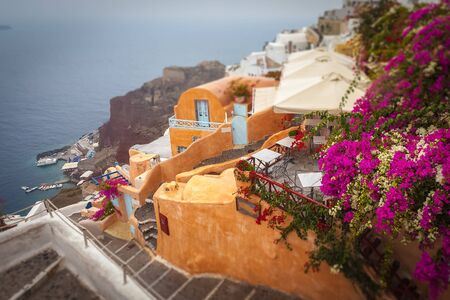 Tilt shift effect of the village of Oia with flowering bougainvilleaの写真素材