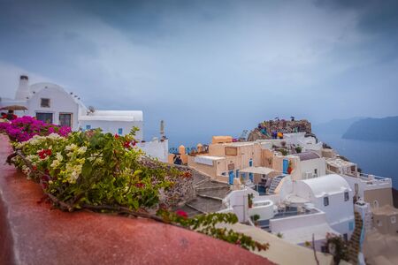 Tilt shift effect of colorful flowers and houses of Oia on a rainy dayの写真素材
