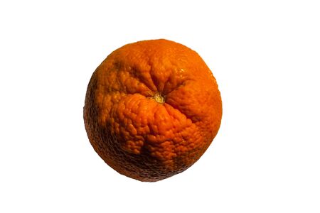 Top view of orange on a white backgroundの写真素材