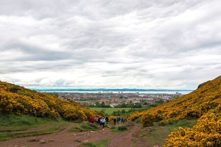 Tourists on the path surrounded by yellow flowers of Holyrood Park, Edinburgh