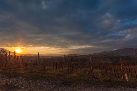 Beautiful winter sunset over vineyard, Conegliano, Italy