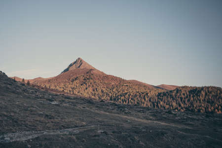 Vintage effect of woods around the top of a volcano-shaped mountain, Col Quaterna, Dolomites, Veneto, Italy. Panorama that inspires peace, tranquility and meditationの写真素材