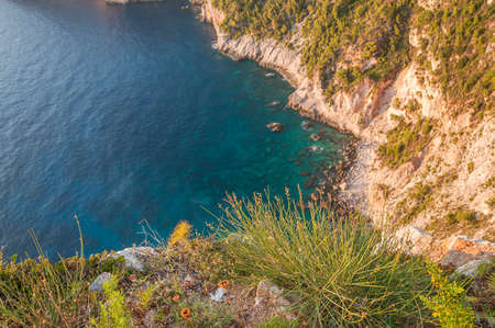 Tuft of grass over the cliff of Zakynthos island, Greece