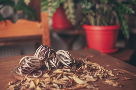 Red radicchio on wooden table. Green plants backgroundの写真素材