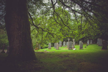 Tilt shift effect of tombs behind a giant oak tree near Rob Roy's tomb, Balquhidder, Scotland. Concept: famous and typical landscapes of Scotland, mysterious placesの写真素材