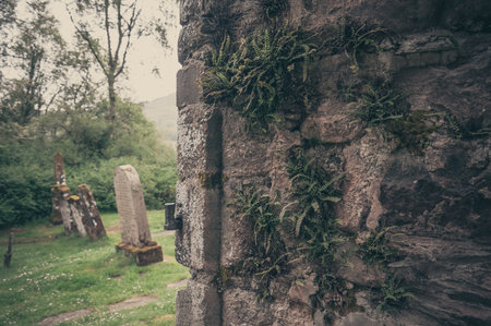 Vintage effect of fern Asplenium trichomanes on the wall of the Balquhidde Parish church, Lochearnehed, Scotland. Concept: religion and spirituality, mysterious and fantastic places in scotlandの写真素材