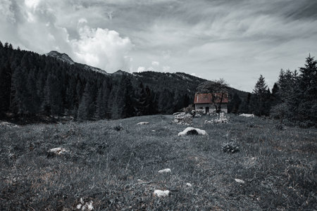 Color isolation effect on an old hut in the middle of a pasture, Monte Resettum, Friuli, Italyの写真素材