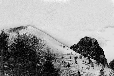 Illustration with charcoal technique of snowy peak surrounded by larchesの写真素材