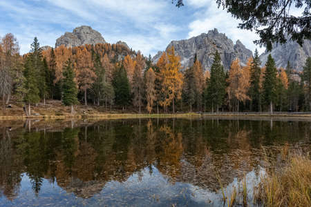 Dolomite lake with reflections of the mountains and trees with autumn colorsの写真素材