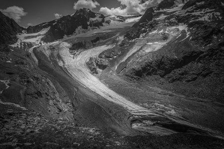 Black and white panorama of the forehead of the Palla Bianca glacier in retreatの写真素材