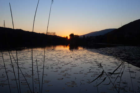 Nice autumn sunset on lake with ducks and covered with water liliesの写真素材
