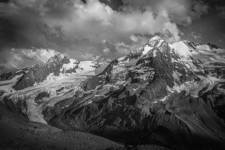 Black and white panorama of the glaciers at the foots of the Palla Bianca peakの写真素材