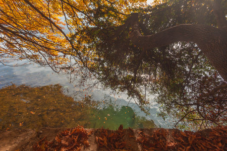 Autumn trees reflected on the water of Lugano lake, Switzerlandの写真素材
