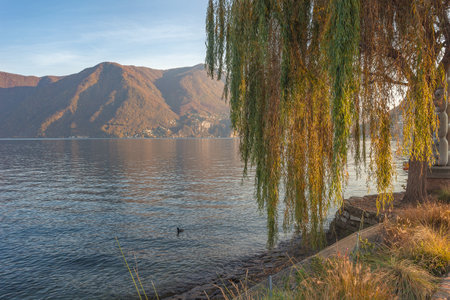 Panorama of Lugano lake at sunset in autumnの写真素材