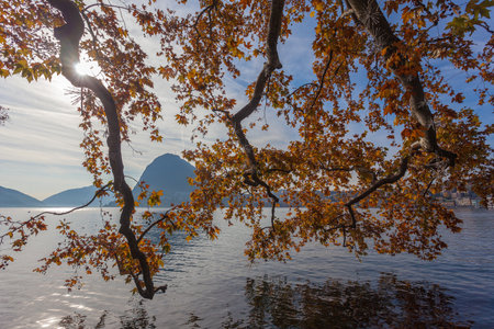Sun light filtering through autumn plane tree branches, Lugano lake, Switzerlandの写真素材