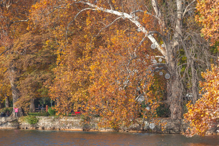 Christmas decorations on autumn trees , shore of Lugano lake, Switzerland