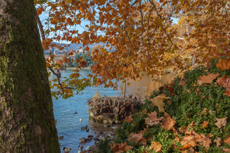 Orange autumn foliage on the shore of Lugano lake, Switzerlandの写真素材