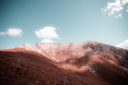 Pink color effect of southern side of Latemar, Dolomites, Italyの写真素材