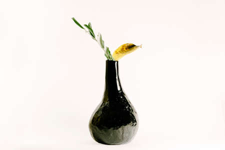 Stock photo vase with olive tree and yellow leaf on white background still lifeの写真素材