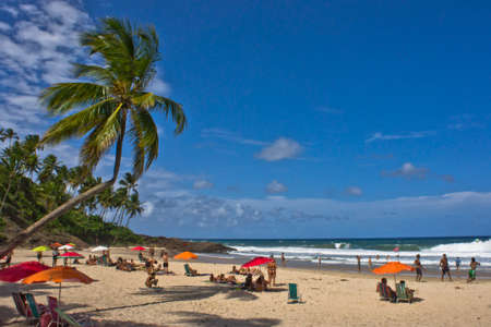 Itacare, Tropical beach view, Bahia, Brazil, South America