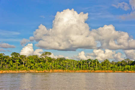 Amazon Basin, Peru, South Americaのeditorial素材
