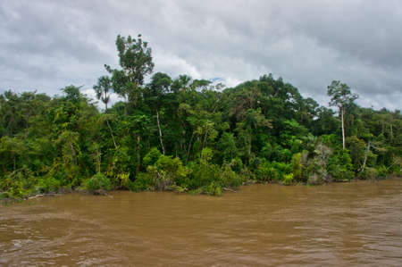 Amazon river view, Brazil, South Americaのeditorial素材