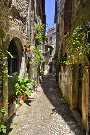 A narrow street among the old houses of Amaseno, a medieval village in the Lazio region, Italy.の写真素材