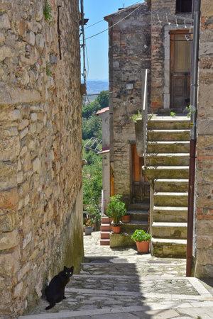 A small street between the old houses of Zungoli, an old town in the province of Avellino.のeditorial素材