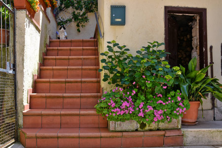 The entrance staircase of an old old house in Cerro al Volturno, a village in the Molise region.