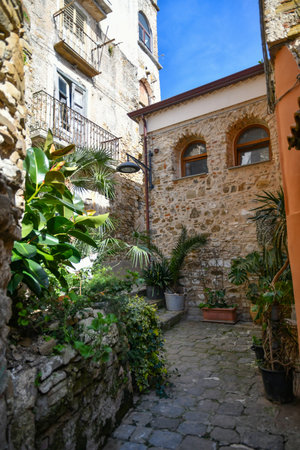 A narrow street among the old stone houses of Castellabate, medieval town in Salerno province.の写真素材