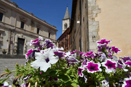A vase of flowers in a square in Sulmona, an Italian village in the Abruzzo region.の写真素材